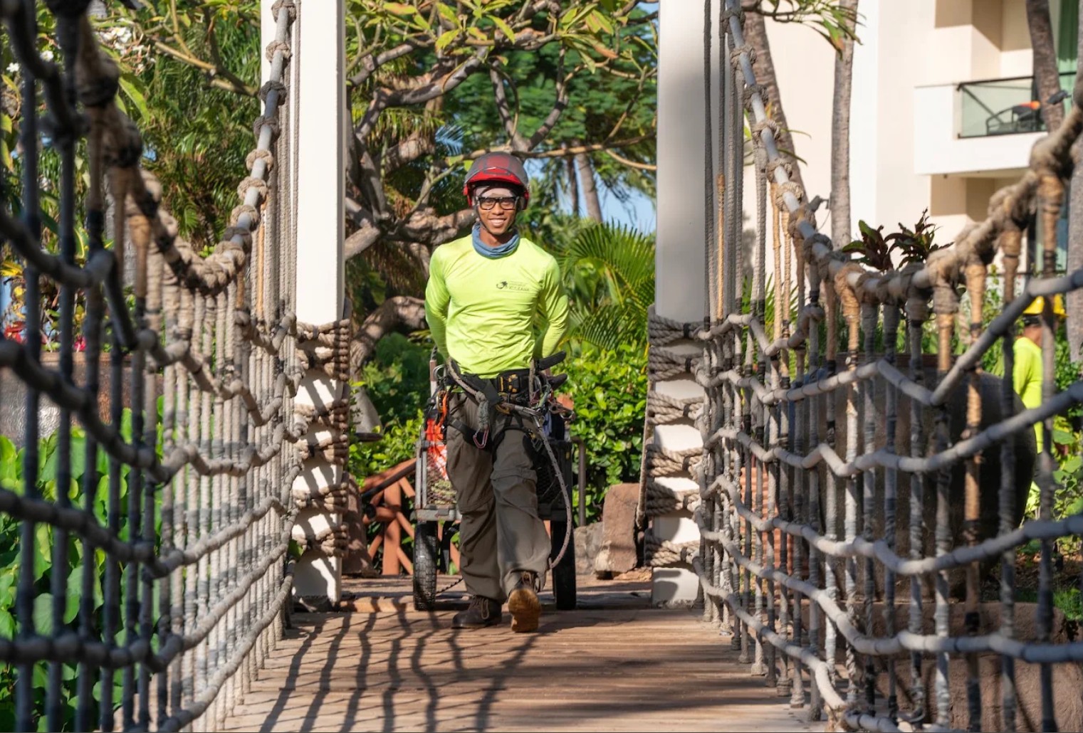 Coconut Kuleana professional palm trimmer in full safety harness and helmet at Maui resort property